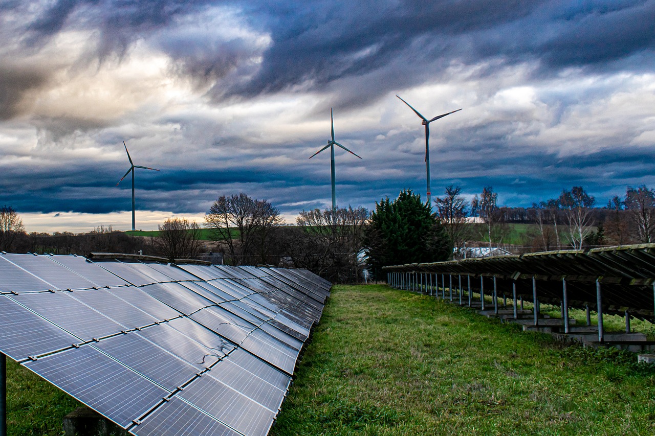 Exploring the Potential of Biomass Energy